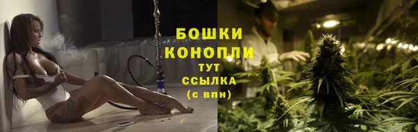 прущие грибы Покровск
