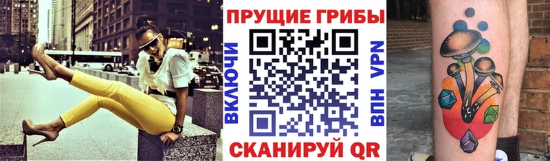 Галлюциногенные грибы Cubensis  Никольск 